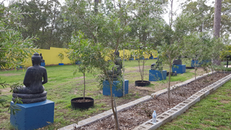 Chùa Phật Tổ Queensland