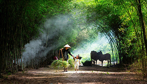 Chùa Phật Tổ Queensland